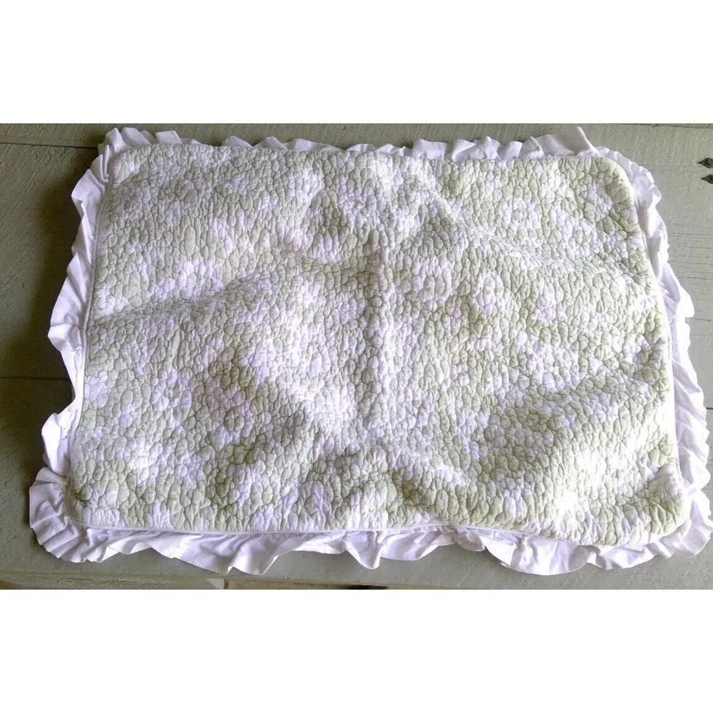 Pair Cottage Shabby Chic Farm Victoria Hill Std Quilted shams sage green & white